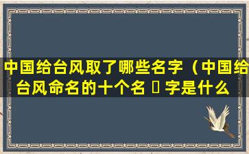 中国给台风取了哪些名字（中国给台风命名的十个名 ☘ 字是什么）